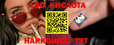 винт Шебекино